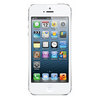 Apple iPhone 5 16Gb white - Североморск